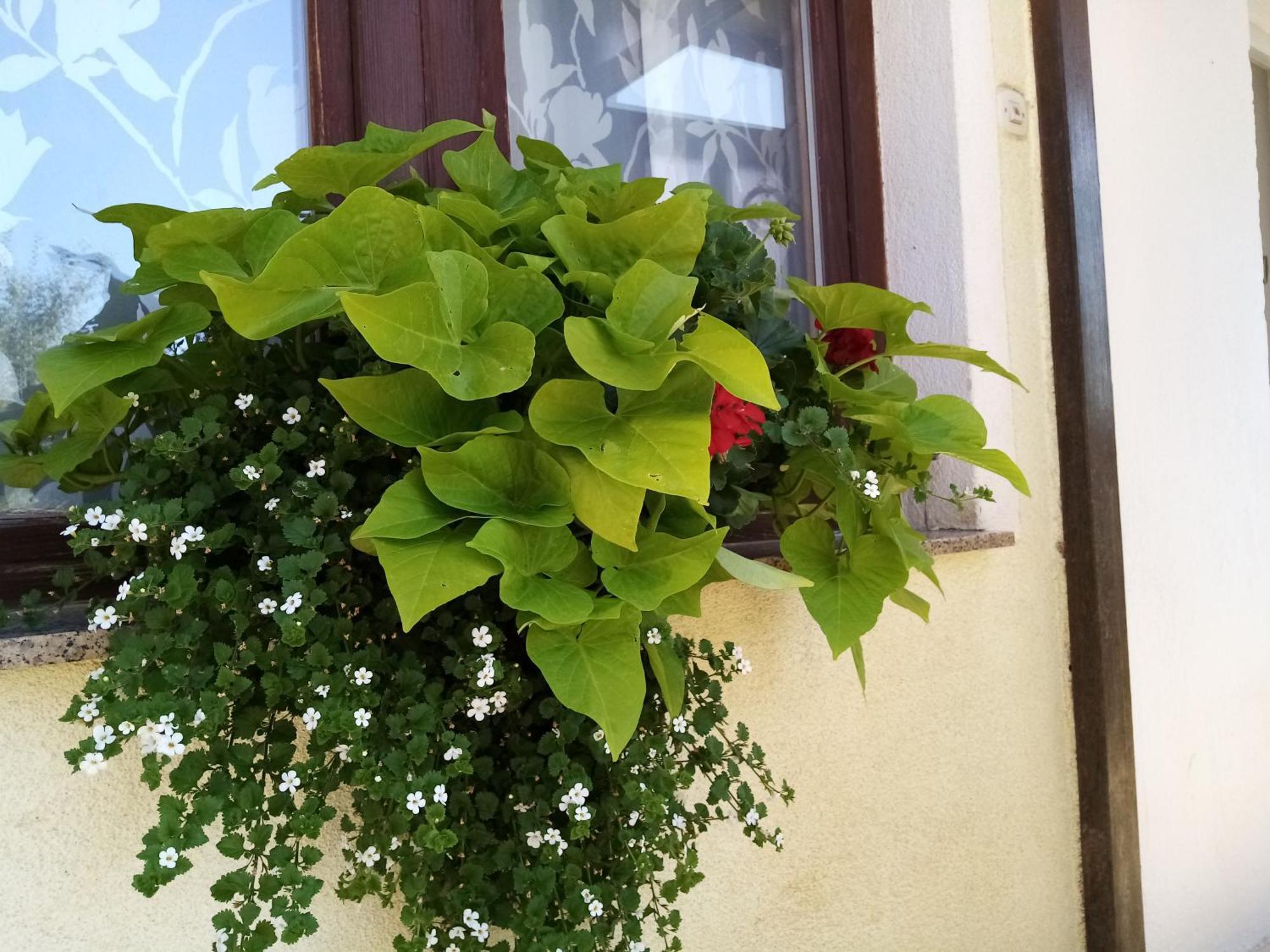 House Josipa Hotel Rakovica Eksteriør billede